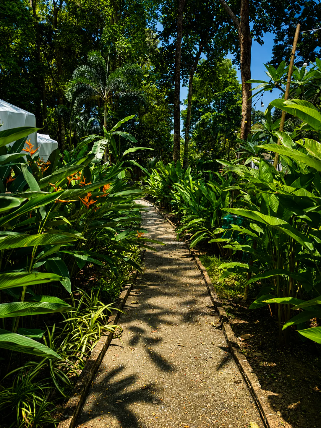 Vanara Retreat surrounded by tropical greenery
