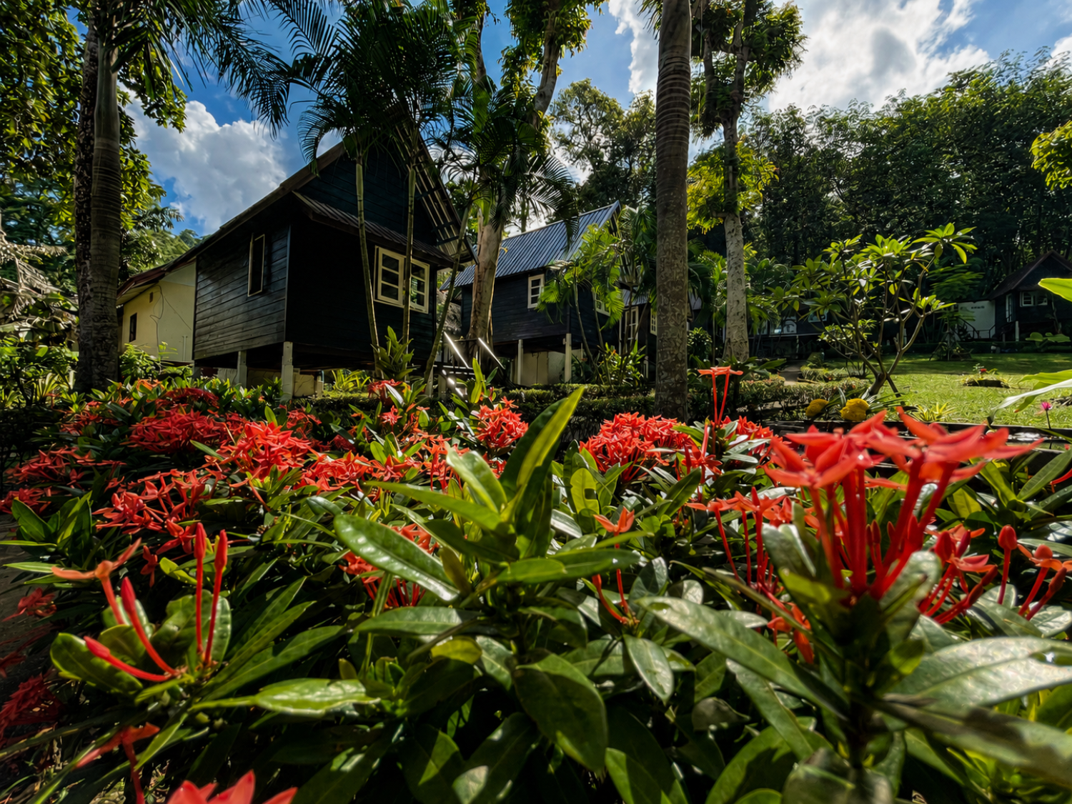 Tropical garden at Vanara Eco Resort