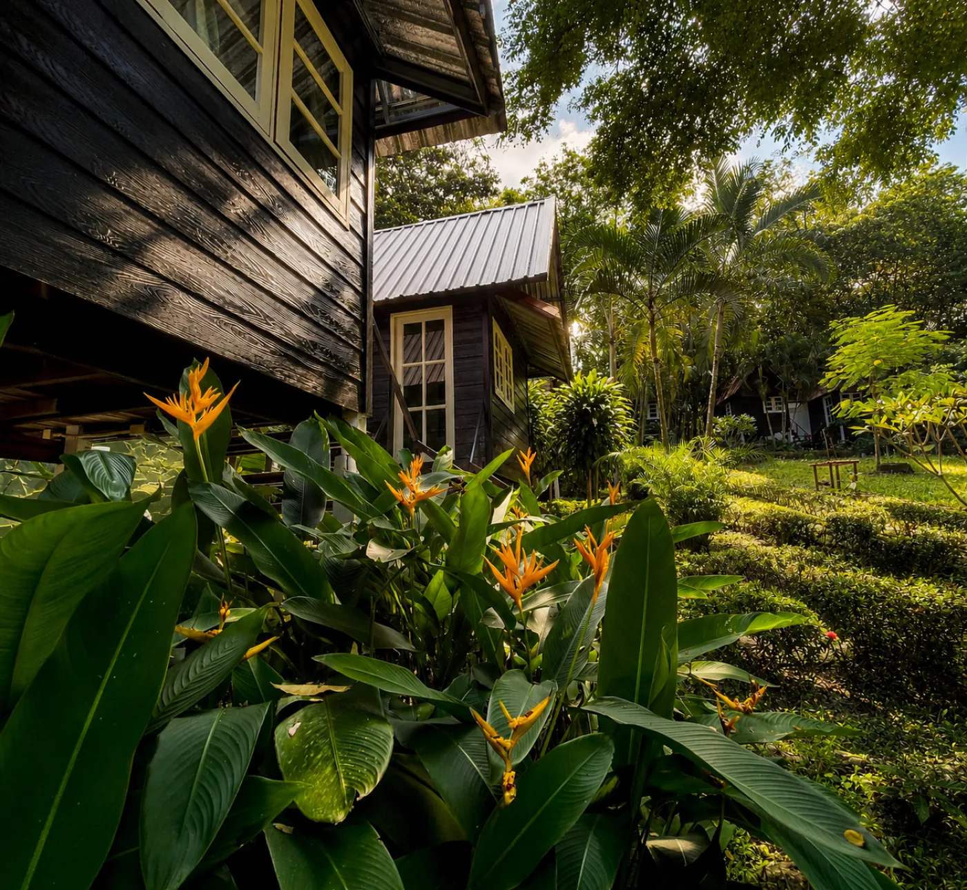 พืชเขตร้อนและรายละเอียดสถาปัตยกรรมรอบบังกะโลกลางสวนที่ Vanara