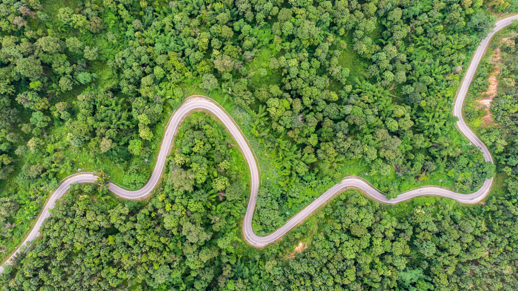 Scenic Road Vertical
