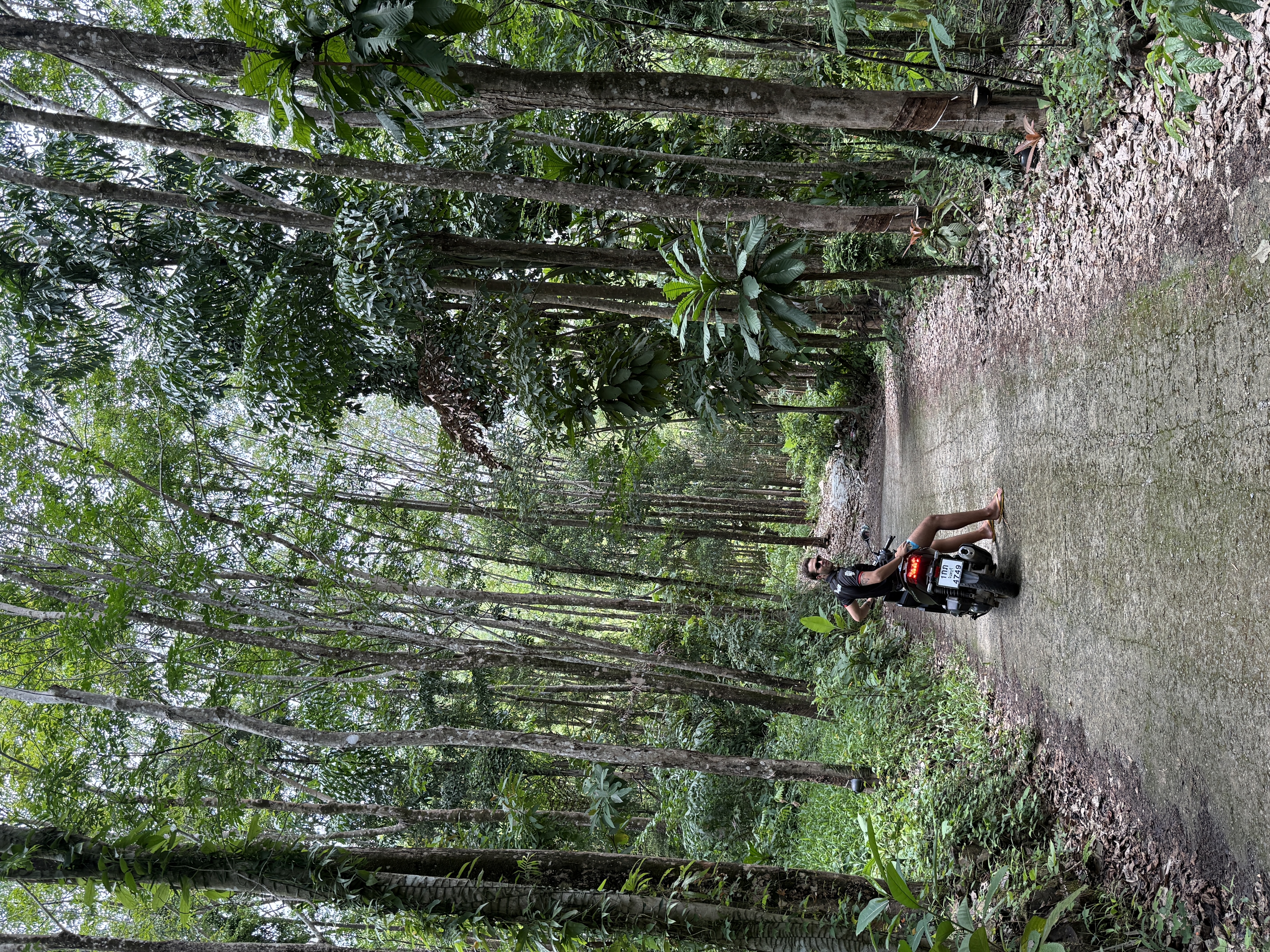 Scenic Road