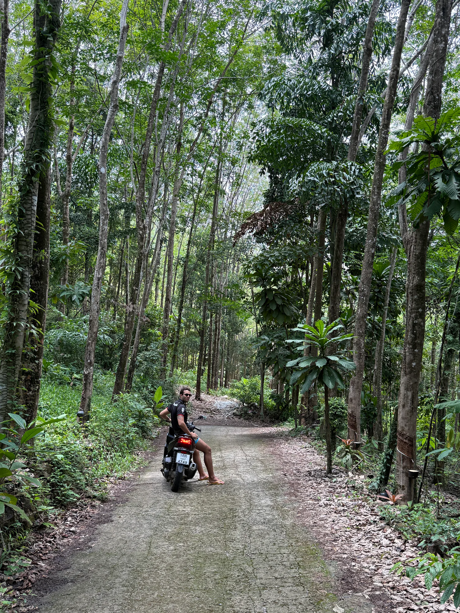 Scenic road through Koh Chang near Vanara Retreat
