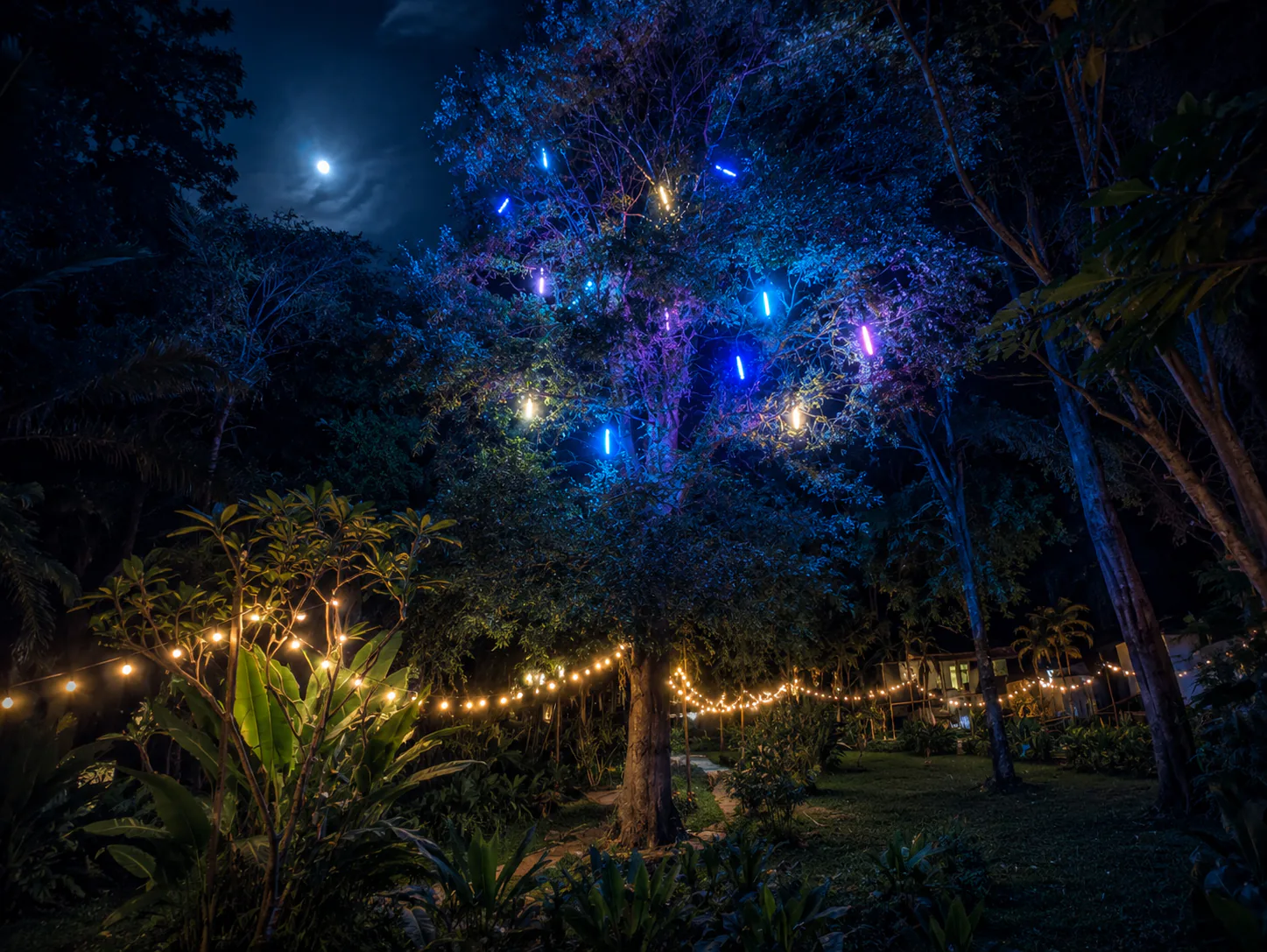 สวนยามเย็นที่ Vanara Retreat
