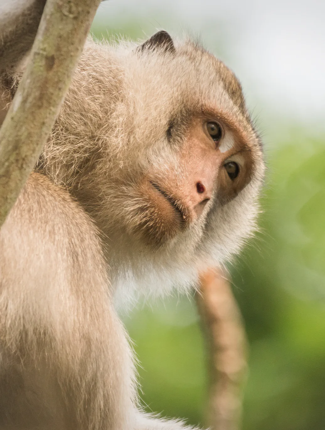 A natural detail at Vanara Retreat
