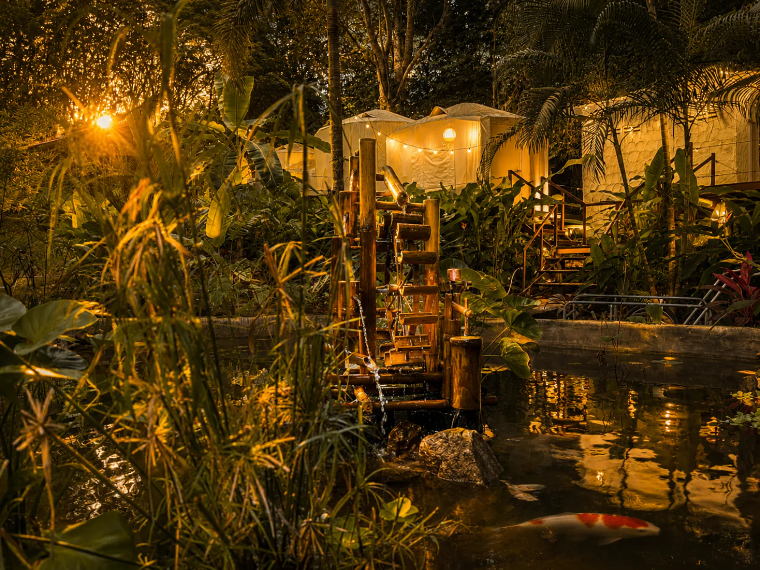 The natural atmosphere of Vanara Retreat