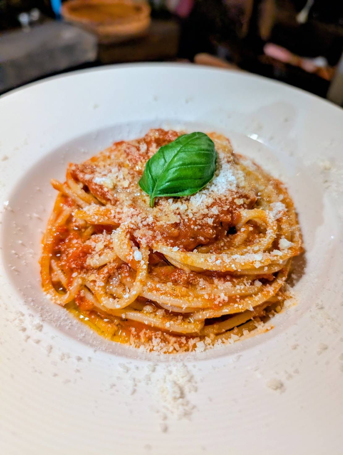 Pasta with tomato sauce, Parmigiano and basil
