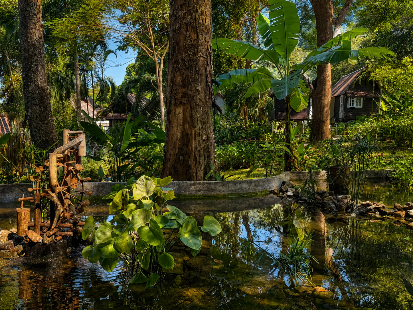 Water garden at Vanara Retreat