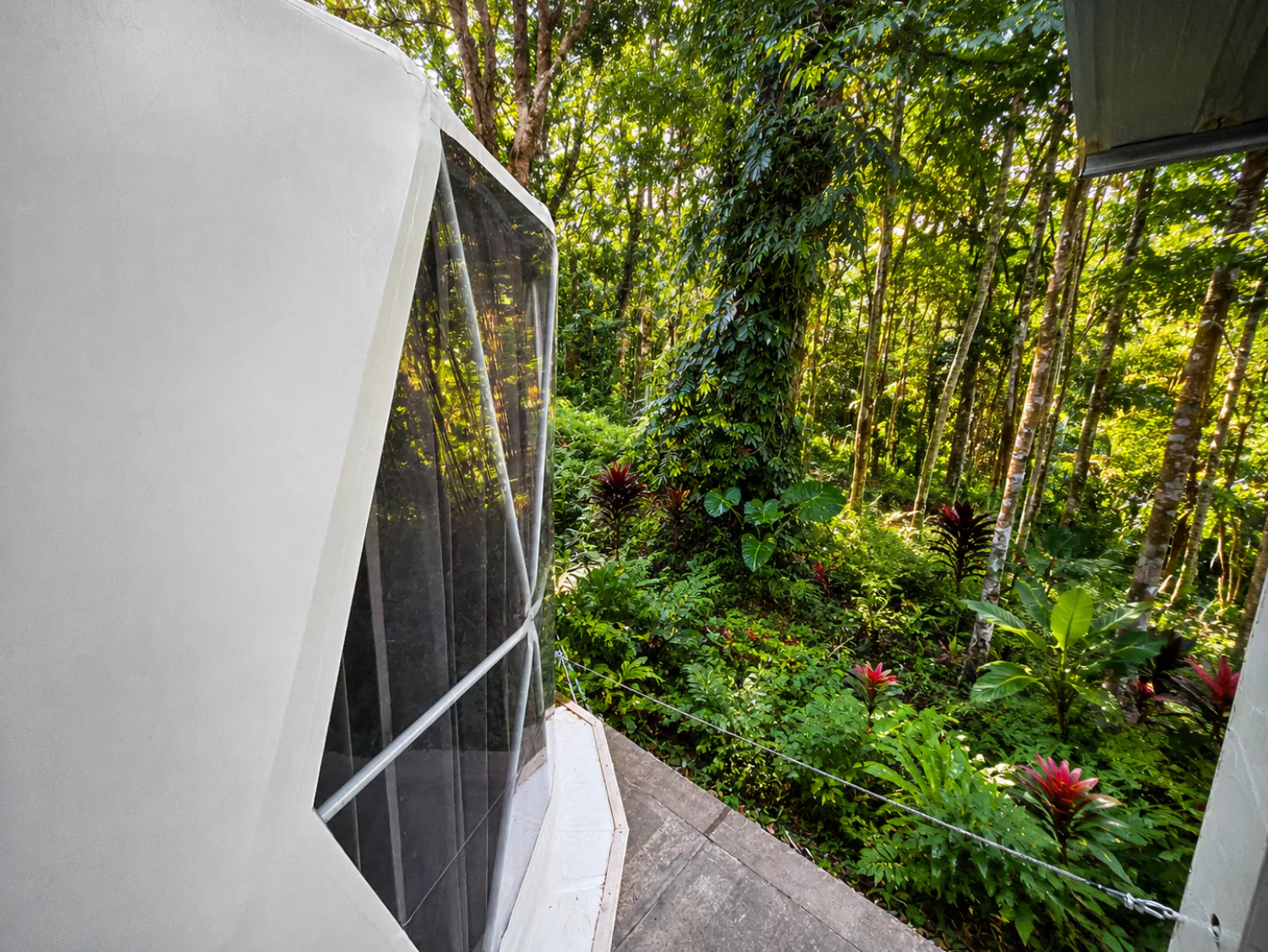 หน้าต่างพาโนรามาในเยิร์ตที่ Vanara Retreat